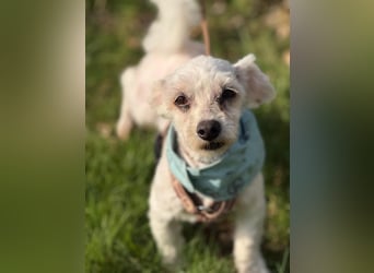 Bounty, Pflegestelle 48249 Dülmen