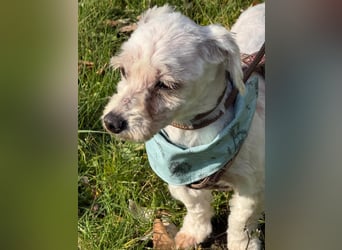 Bounty, Pflegestelle 48249 Dülmen