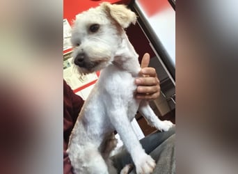 Willow - bereit bei Euch einzuziehen