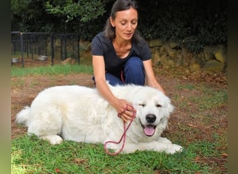 Ottis - Wow! Einfach nur wow! Ottis - Wow! Einfach nur wow!