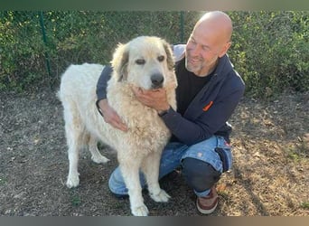 Zorro sucht sein Glück!