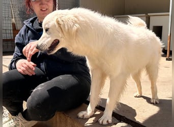 Romina - unser Sonnenschein sucht ein Zuhause