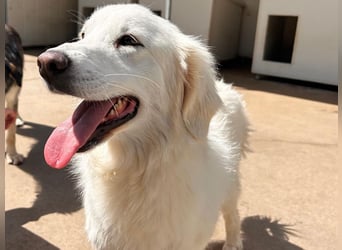 Romina - unser Sonnenschein sucht ein Zuhause