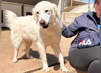 Romina - unser Sonnenschein sucht ein Zuhause