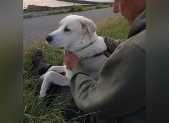 Cucciolo- auch das schaffen wir!