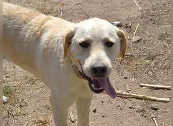 Camilla - die Große Sensible