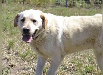 Camilla - die Große Sensible