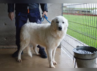 Rosvielle - Auf einer Skala von 1 bis 10....