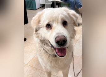 Quilmar - Was werden sie erzählen?