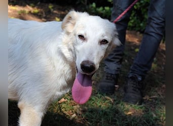 Isana - Wo ist mein neues Leben?