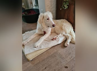 Stardust - Von der Erde zum Mond und zurück....