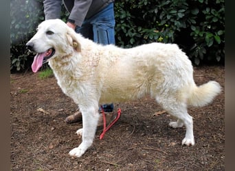 Dayton - niemals ist eine schrecklich lange Zeit