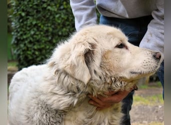 Gorivah - Das Leben ist zu kurz...