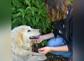 Filomela - Vom Sorgenkind zum Sonnenschein