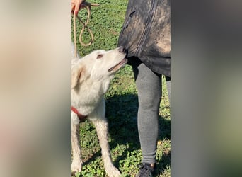 Mona - eine weiße Herzensbrecherin und ihre drei Schwestern