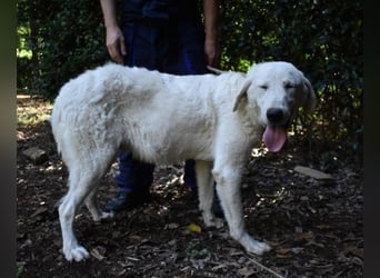 Dayton - niemals ist eine schrecklich lange Zeit
