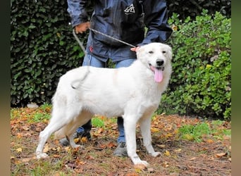 Yasmine - freundlicher Sonnenschein sucht sonniges Plätzchen