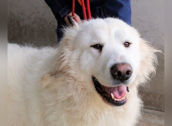 Leverett - Ich sehe was, was du (noch) nicht siehst!