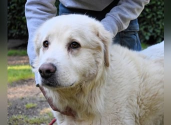 Quilmar - Was werden sie erzählen?