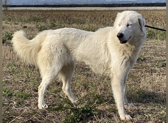 Madea - in ihrer ganzen Schönheit