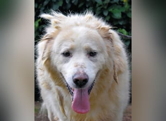 Eluard - Hoffnung auf echte Freundschaft!