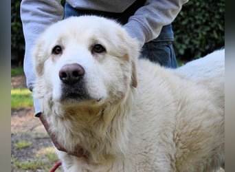 Quilmar - Was werden sie erzählen?