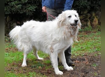 Aristodemo - nicht nur Schall und Rauch