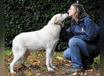 Yasmine - freundlicher Sonnenschein sucht sonniges Plätzchen