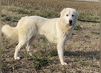 Madea - in ihrer ganzen Schönheit