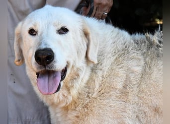 Makeen - es ist die Ohnmacht.....