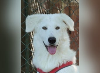 Mona - eine weiße Herzensbrecherin und ihre drei Schwestern