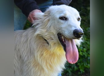 Isana - Wo ist mein neues Leben?