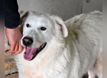 Sallustio - Der Sinn des Lebens