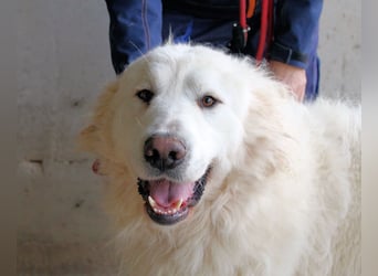 Leverett - Ich sehe was, was du (noch) nicht siehst!