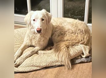 Stardust - Von der Erde zum Mond und zurück....