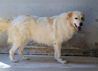 Skilah - Wenn Niemand zu Jemand wird