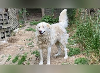 Sindbad - Zwischen Vorsicht und Vertrauen