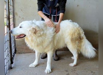 Leverett - Ich sehe was, was du (noch) nicht siehst!