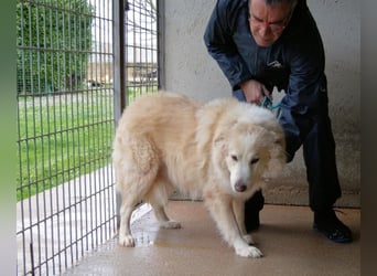 Olivielle- Junge Dame im Bärenmantel