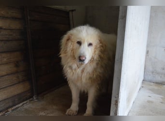 Atheron - Das Ehemaligentreffen