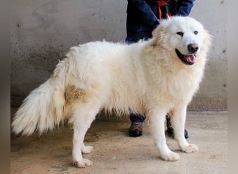 Leverett - Ich sehe was, was du (noch) nicht siehst!