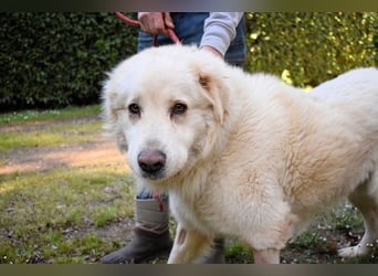 Quilmar - Was werden sie erzählen?