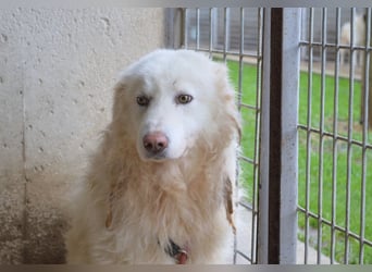 Fredrik - Was nach der Trennung kommt