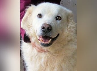 Albertone - Alles, alles Gute!!!