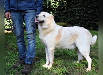 Zipper - Ein vergeudetes Leben