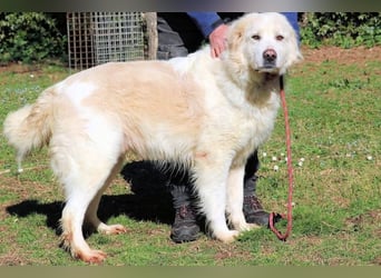 Eluard - Hoffnung auf echte Freundschaft!