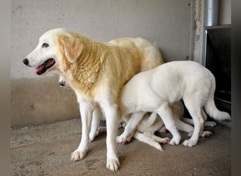 Benilda - Familiemutter in Not