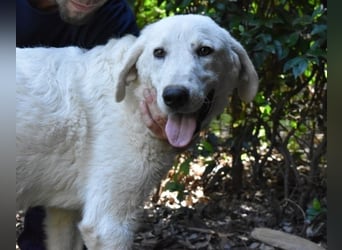 Dayton - niemals ist eine schrecklich lange Zeit