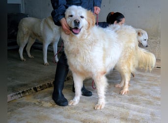 Skilah - Wenn Niemand zu Jemand wird