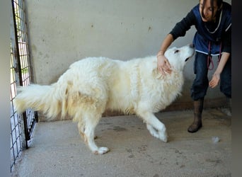 Leverett - Ich sehe was, was du (noch) nicht siehst!